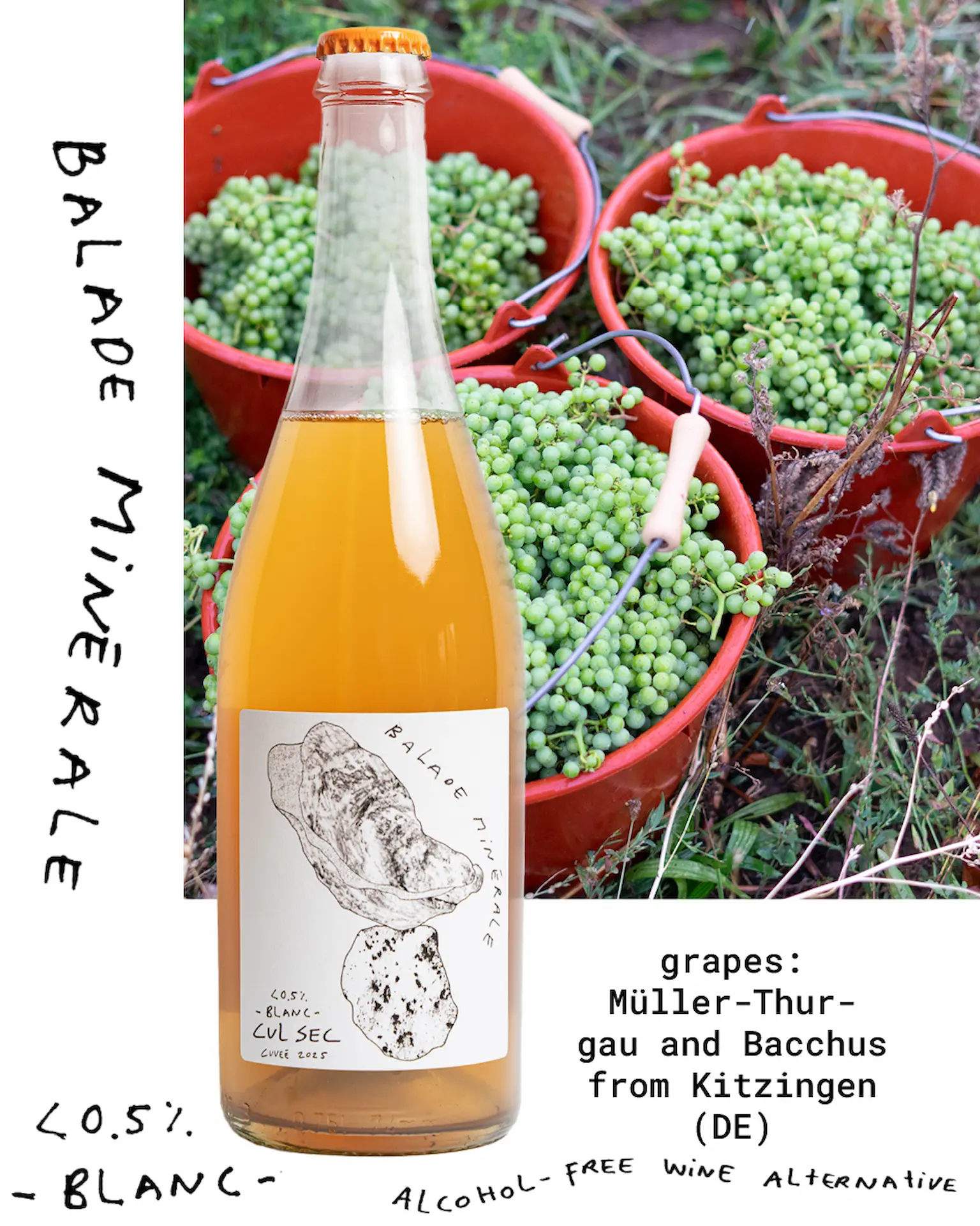 Balade Minérale - blanc