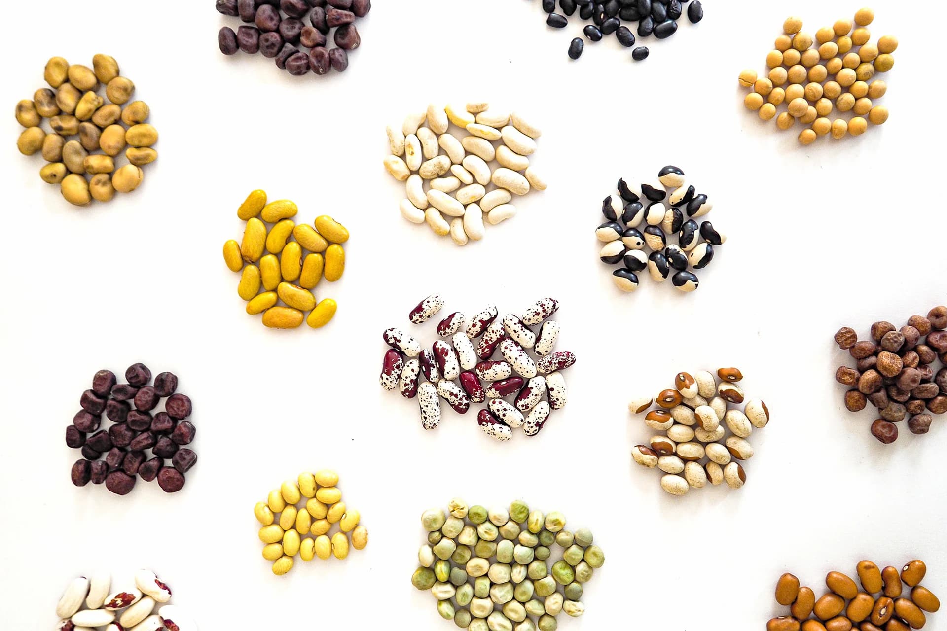Unique flavours: this is how good local beans taste