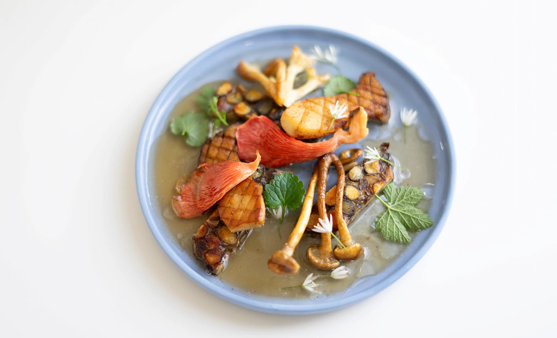 Tempeh in green and brown