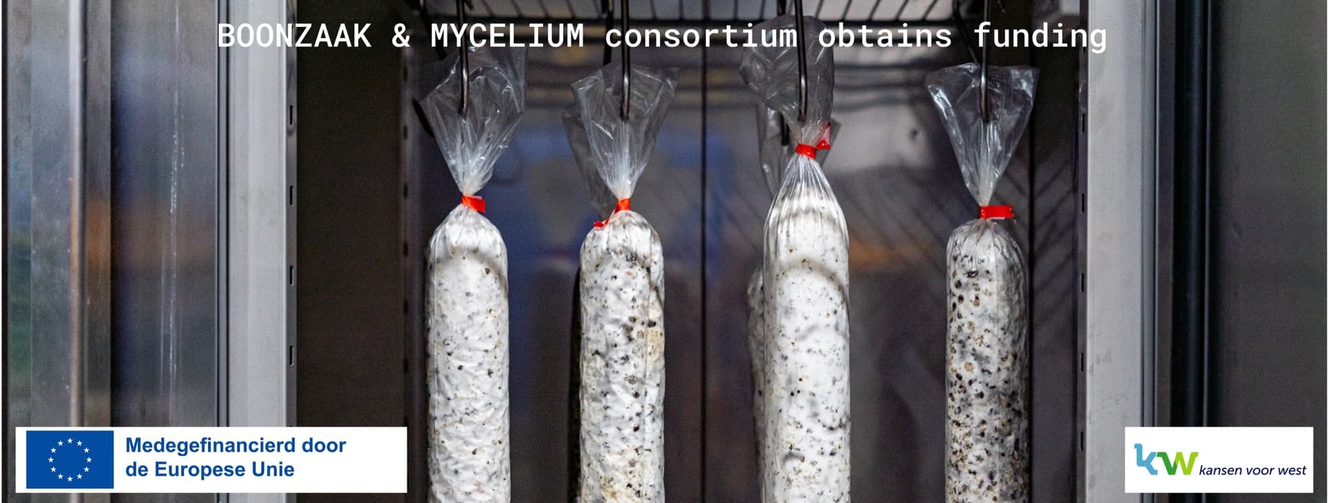 BOONZAAK & MYCELIUM consortium obtains funding