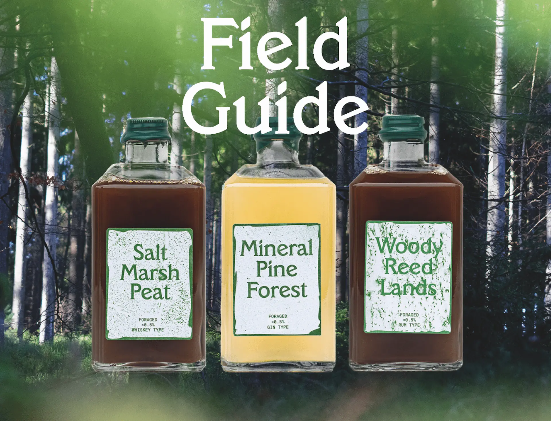 Mineral Pine Forest