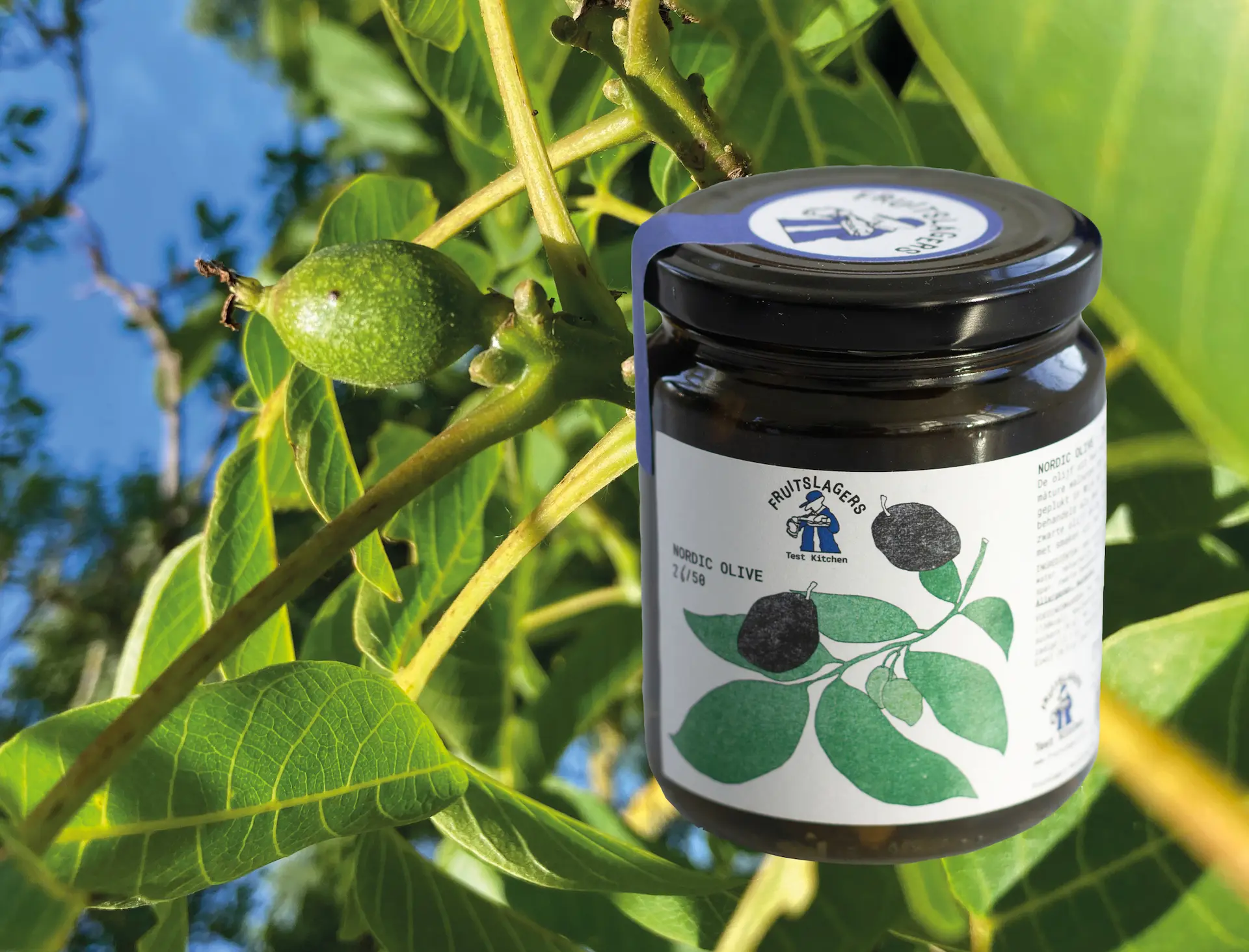 Nordic Olive