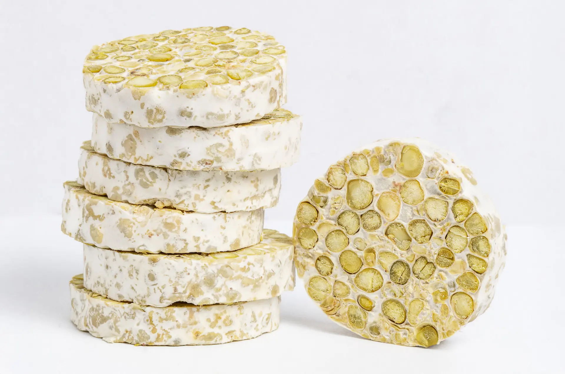 Schokker Tempeh