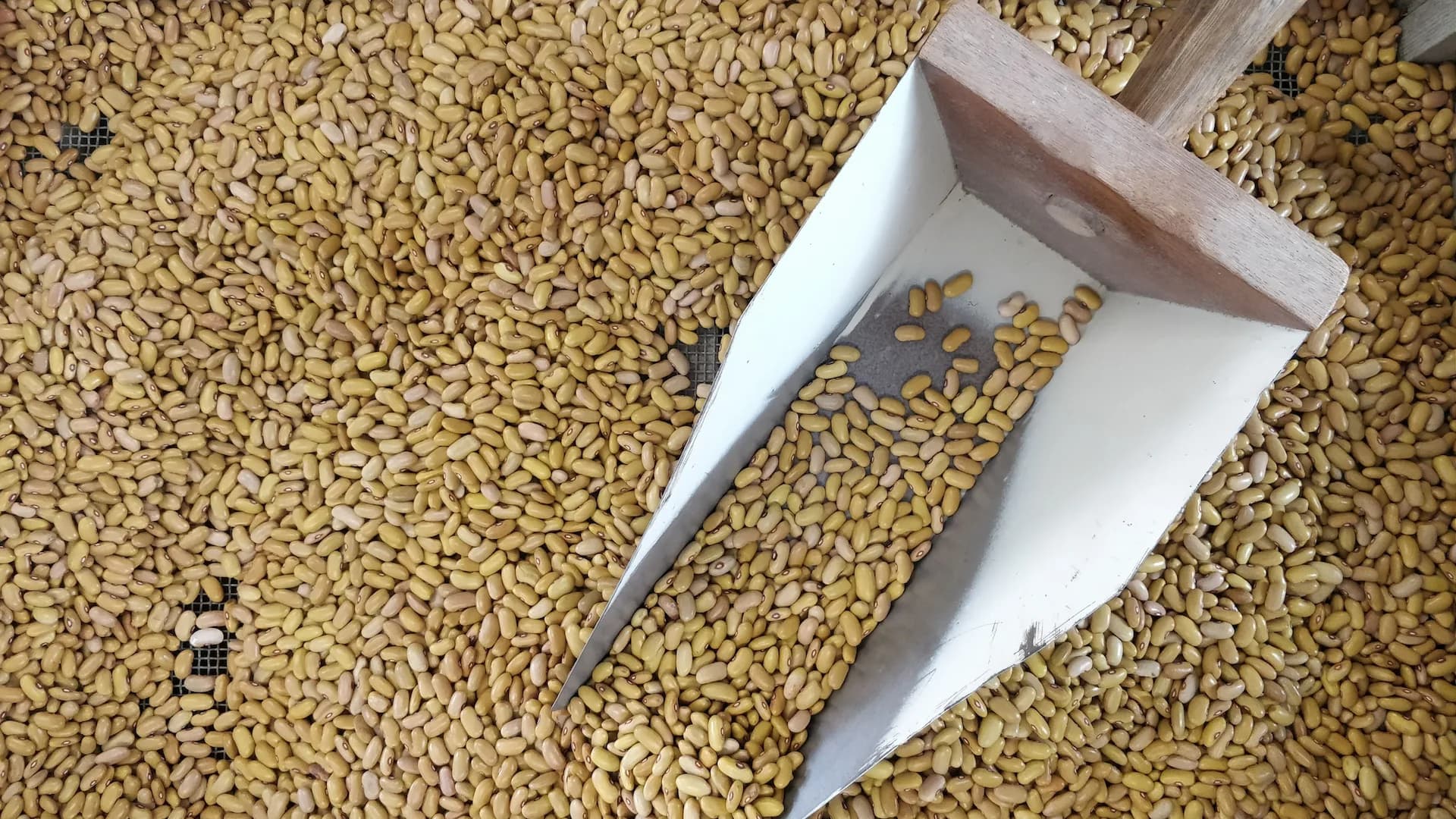 Good for soil and farmer: biodiversity on your plate