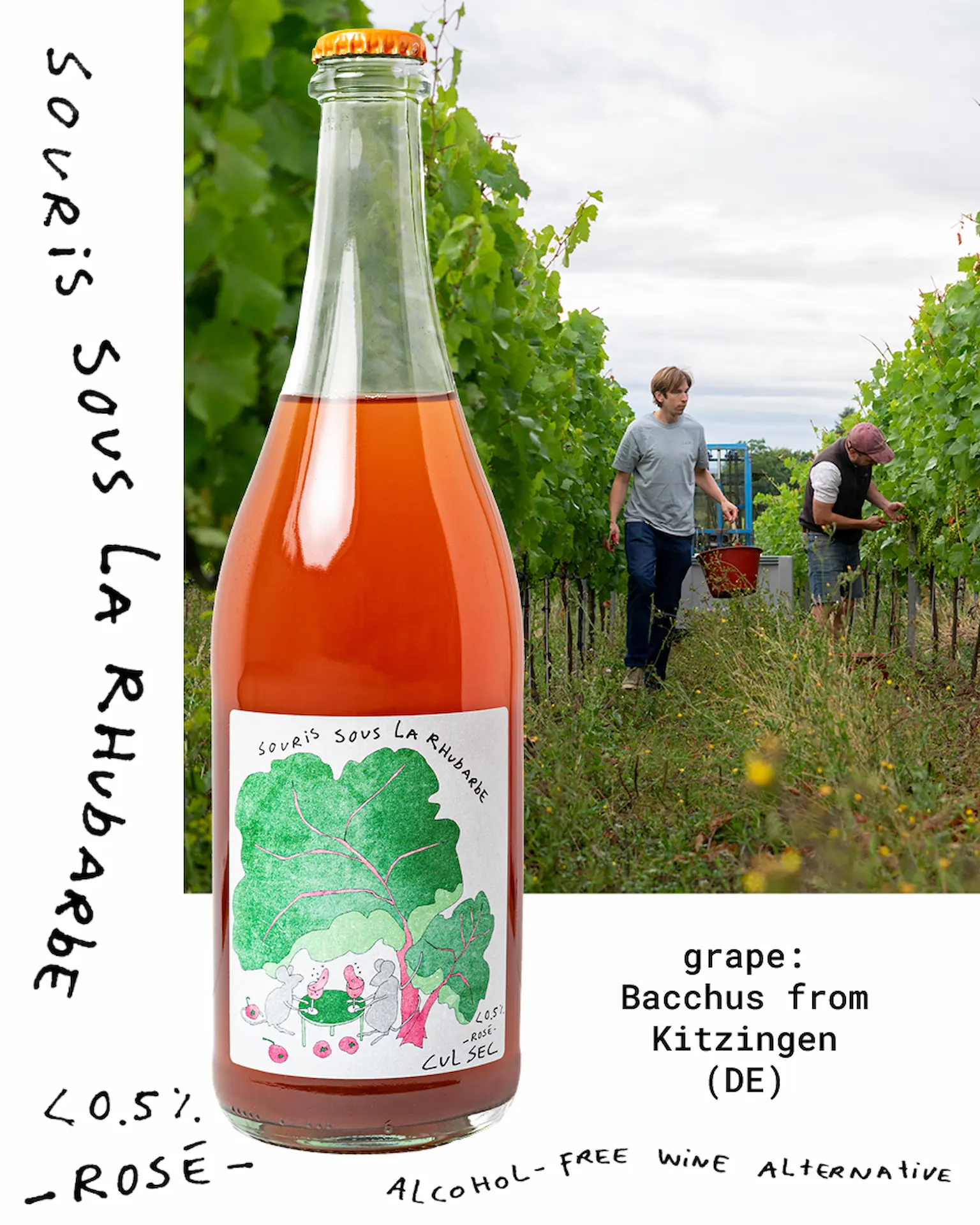 Souris sous la rhubarbe-rosé