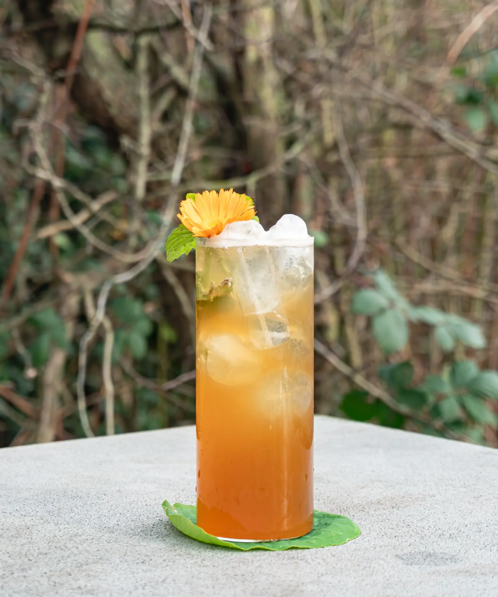 Mocktail Box